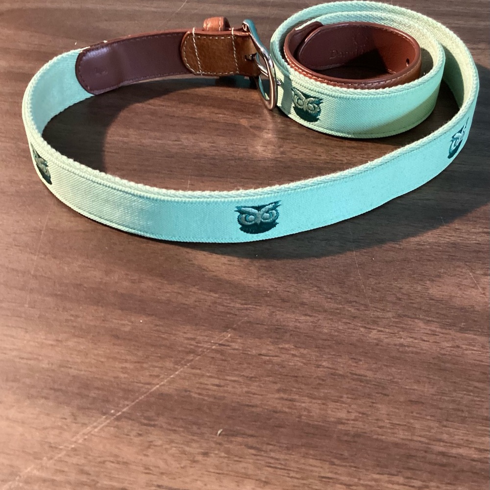 Stylish Owl Embroidered Canvas Belt - Light Mint Green and Brown  Size 44